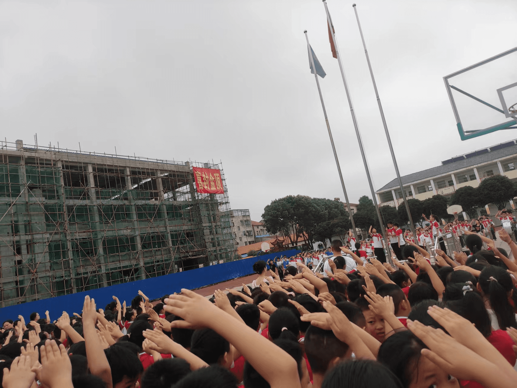2024年6月24日(图2)