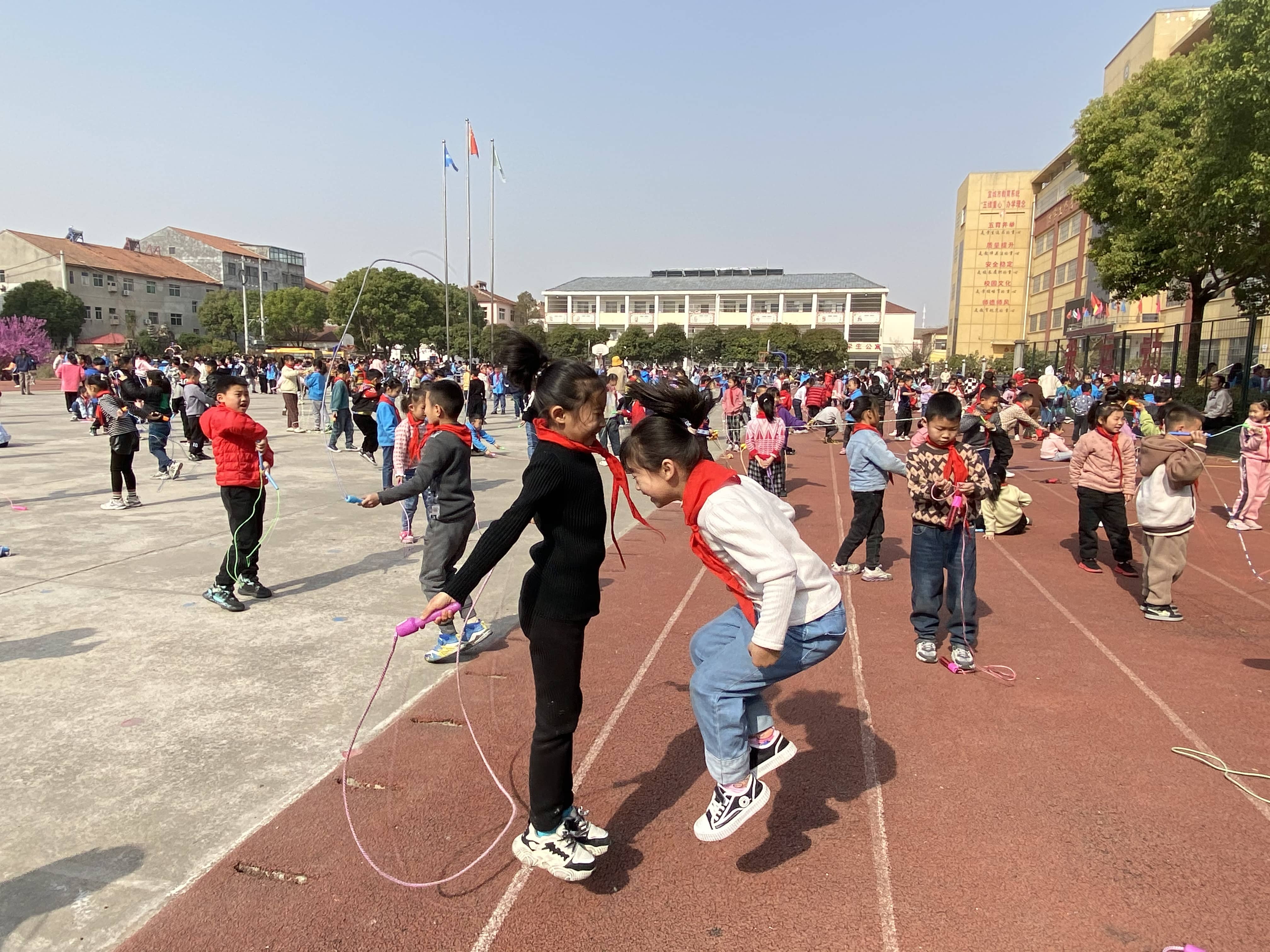 今日板小2023.3.15(图4)