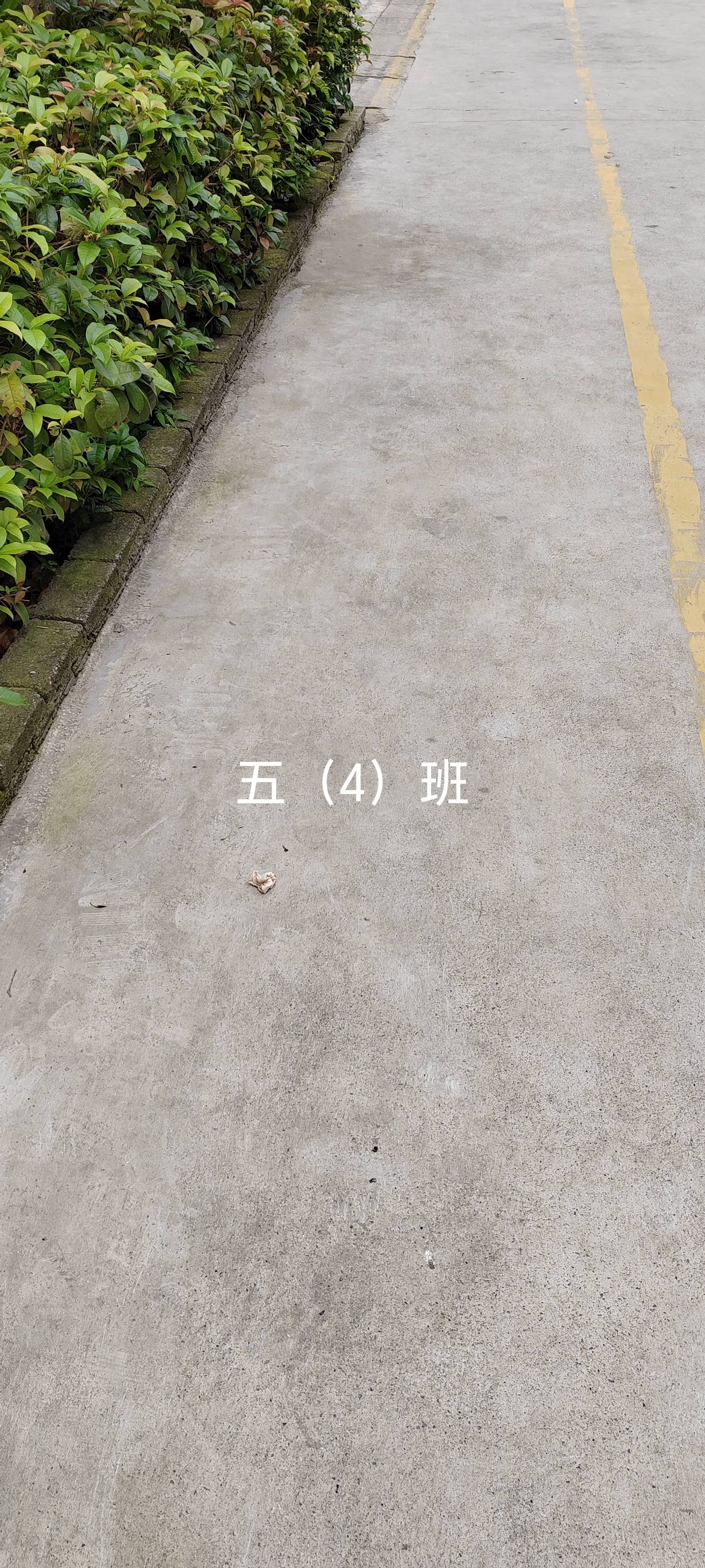 今日板小2023.5.31(图4)