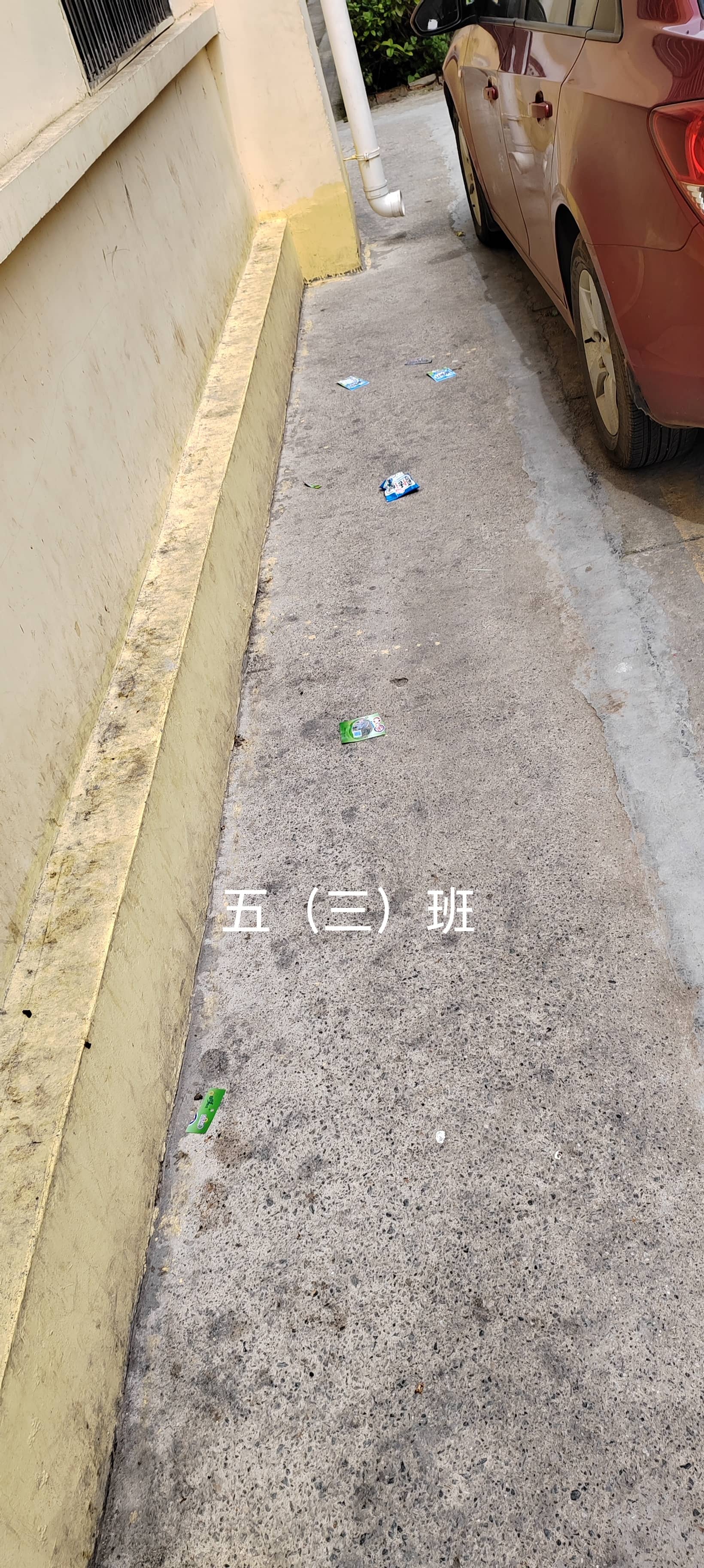 今日板小2023.5.31(图5)