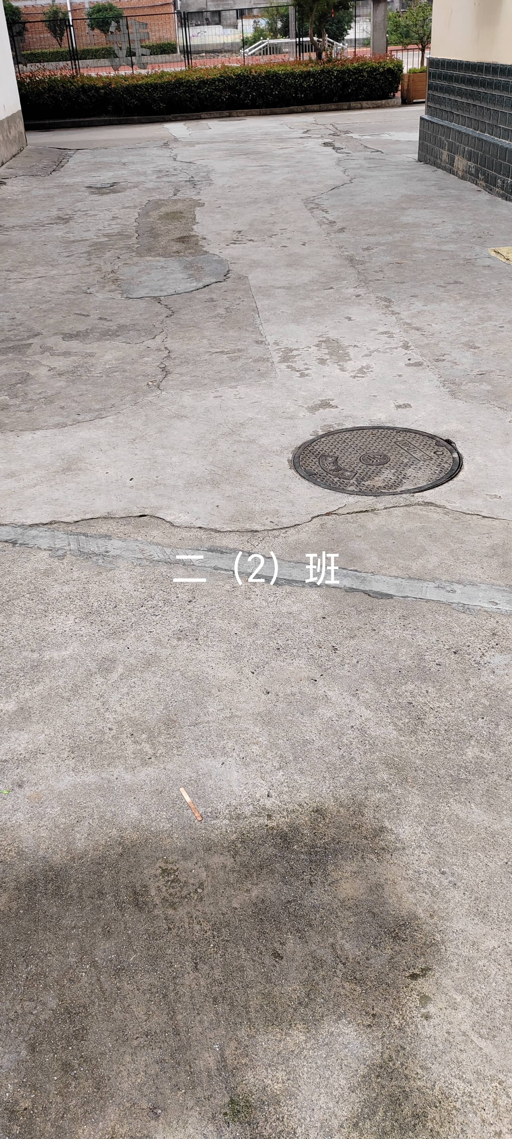 今日板小2023.5.31(图6)