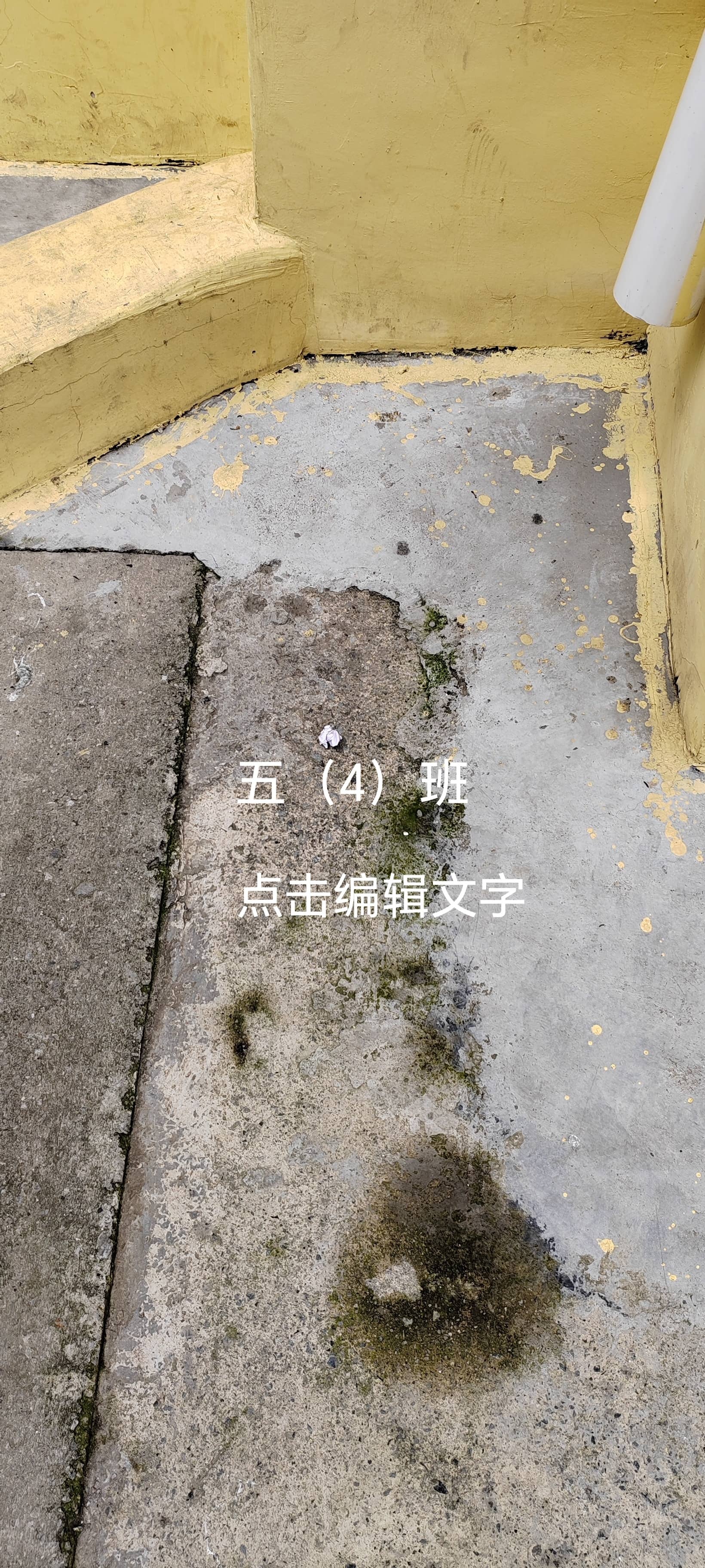 今日板小2023.5.31(图7)