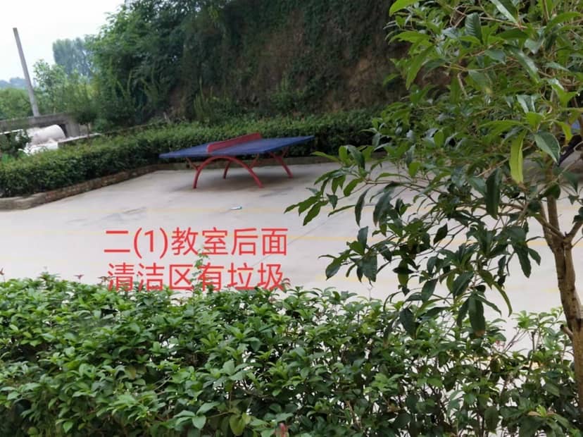 今日板小2023.6.21(图4)