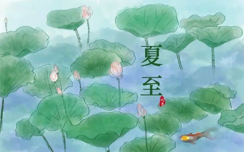 今日板小2023.6.21(图2)