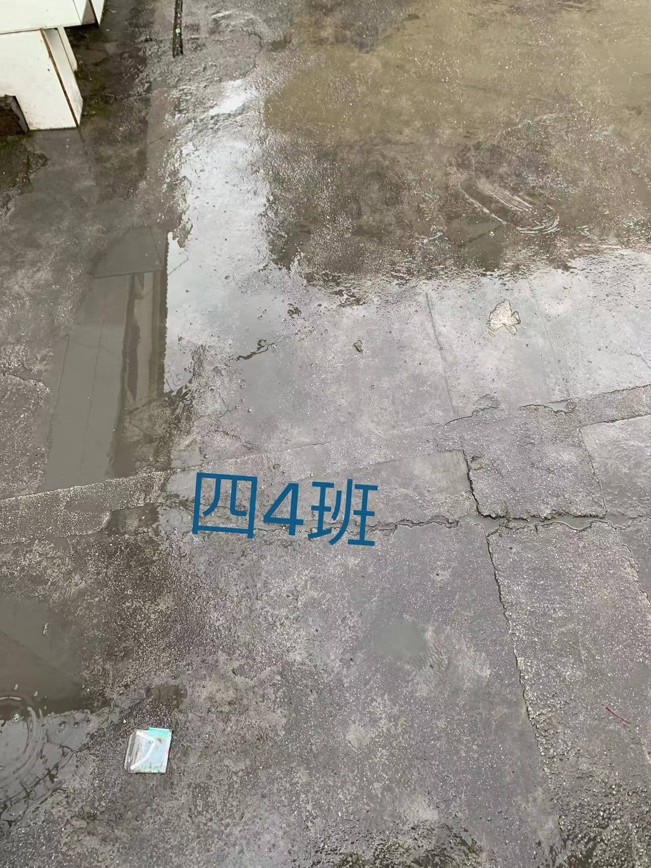 今日板小2023.10.19(图5)