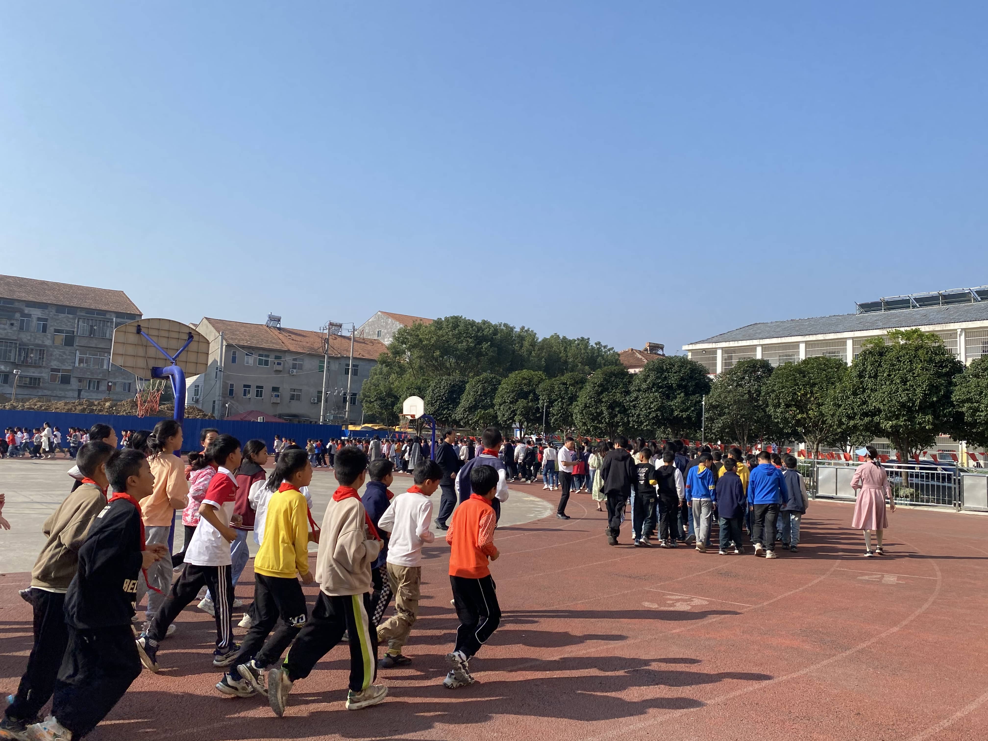 今日板小2023.11.2(图6)