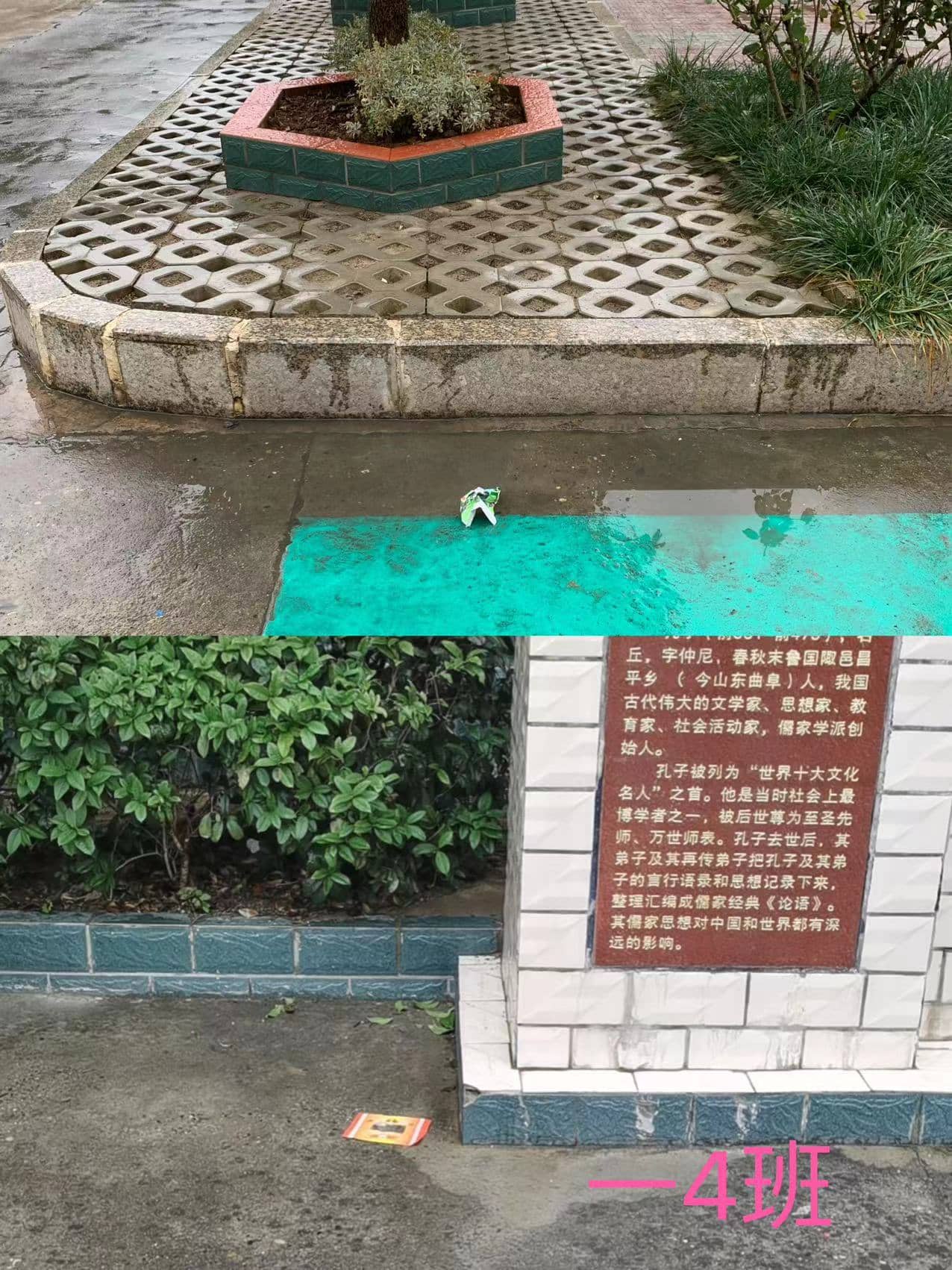 今日板小2023.12.14(图8)