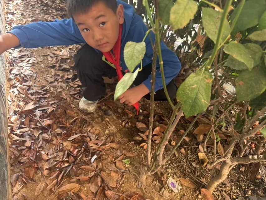今日板小2024.10.18(图4)