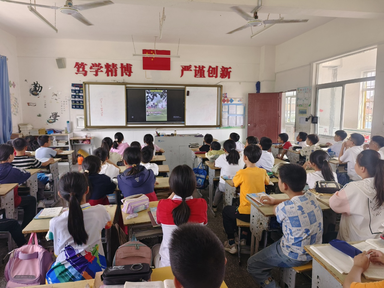 今日板小2025.5.30(图2)