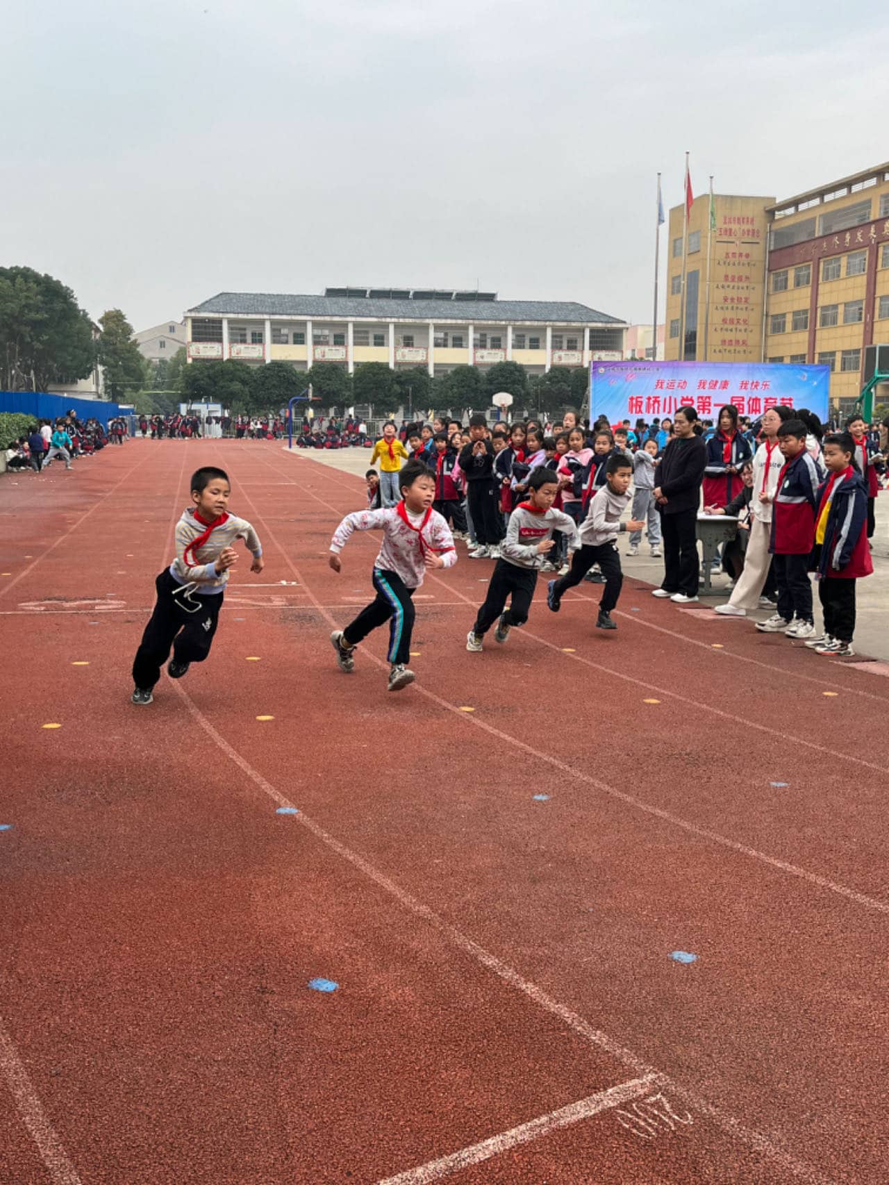 今日板小202311.9(图8)