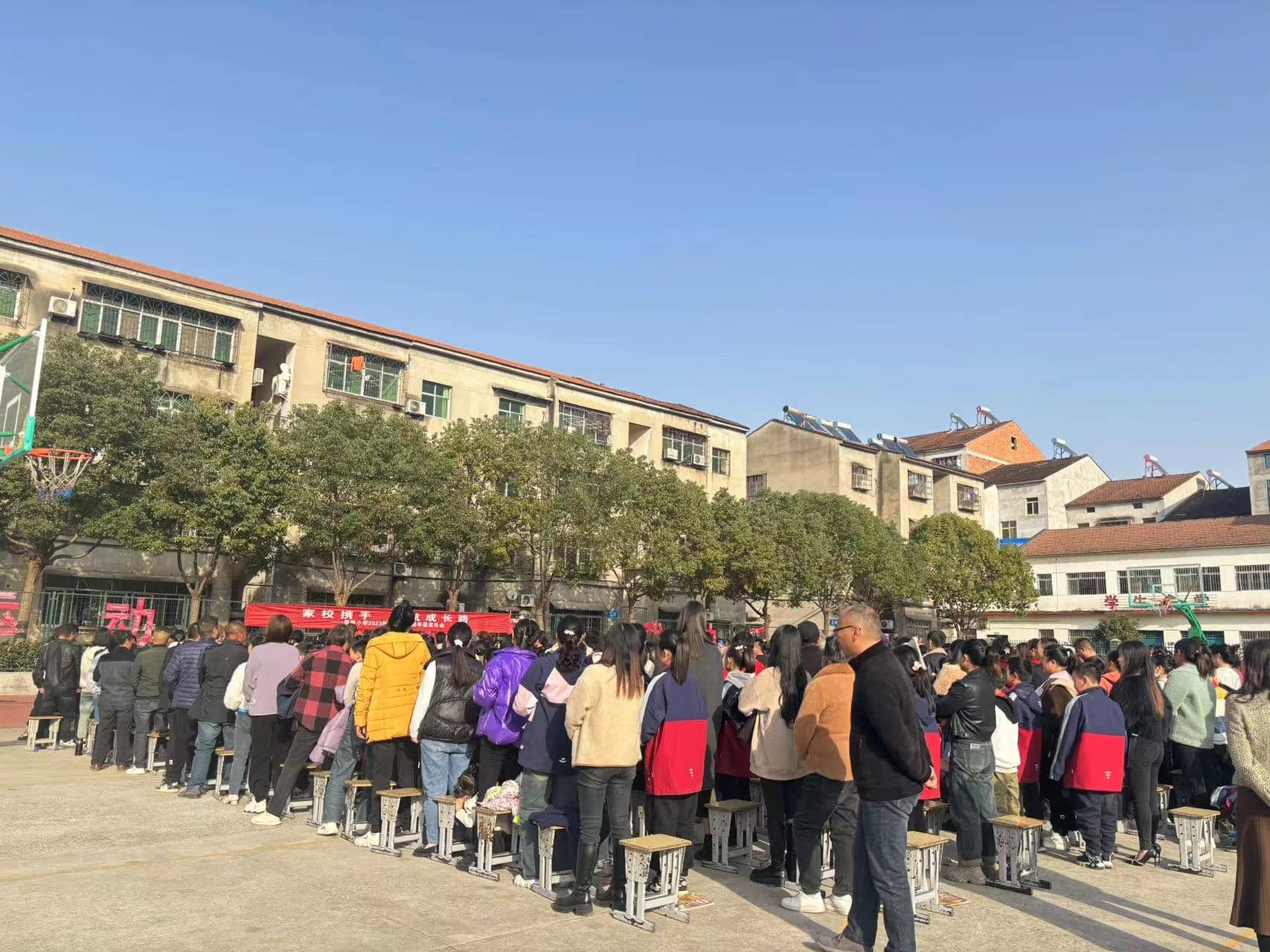 今日板小2023.11.23(图3)