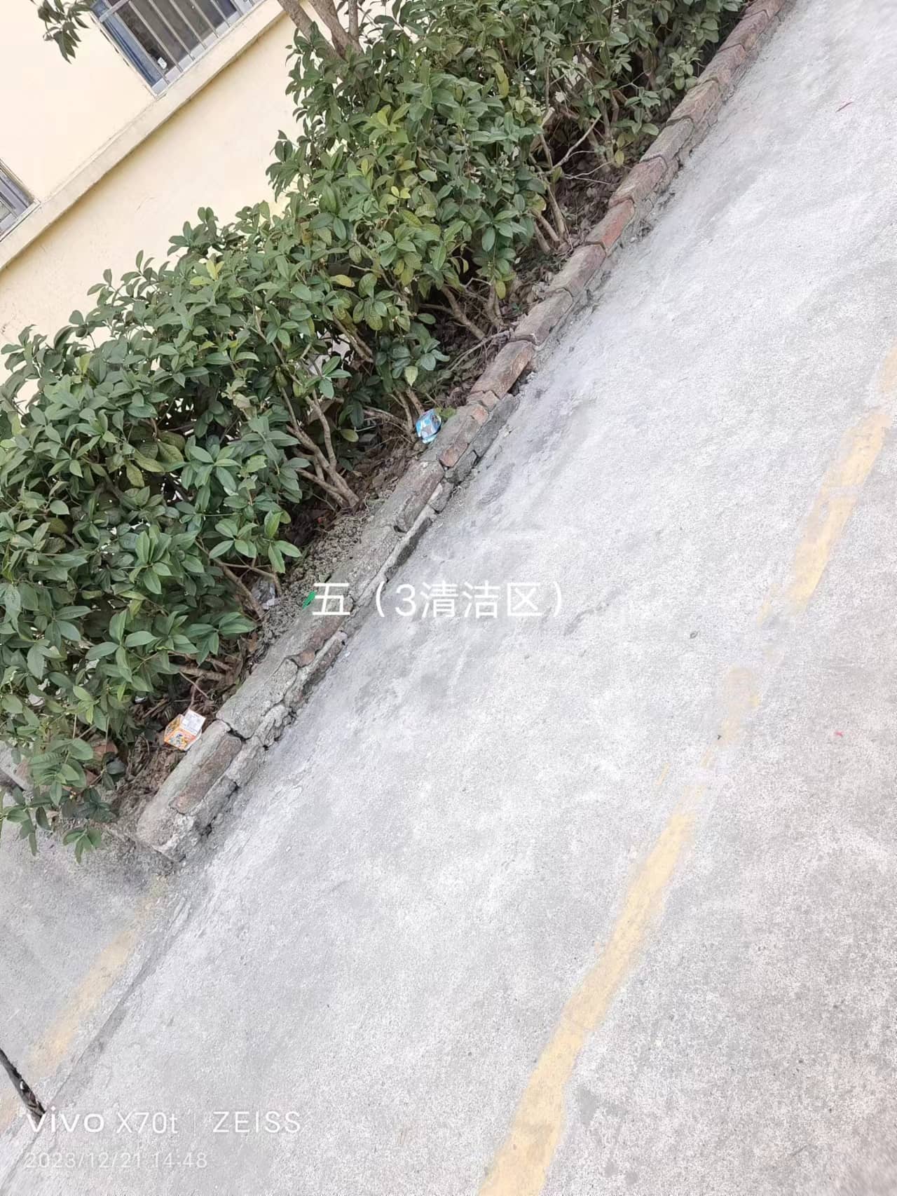 今日板小2023.12.21(图7)