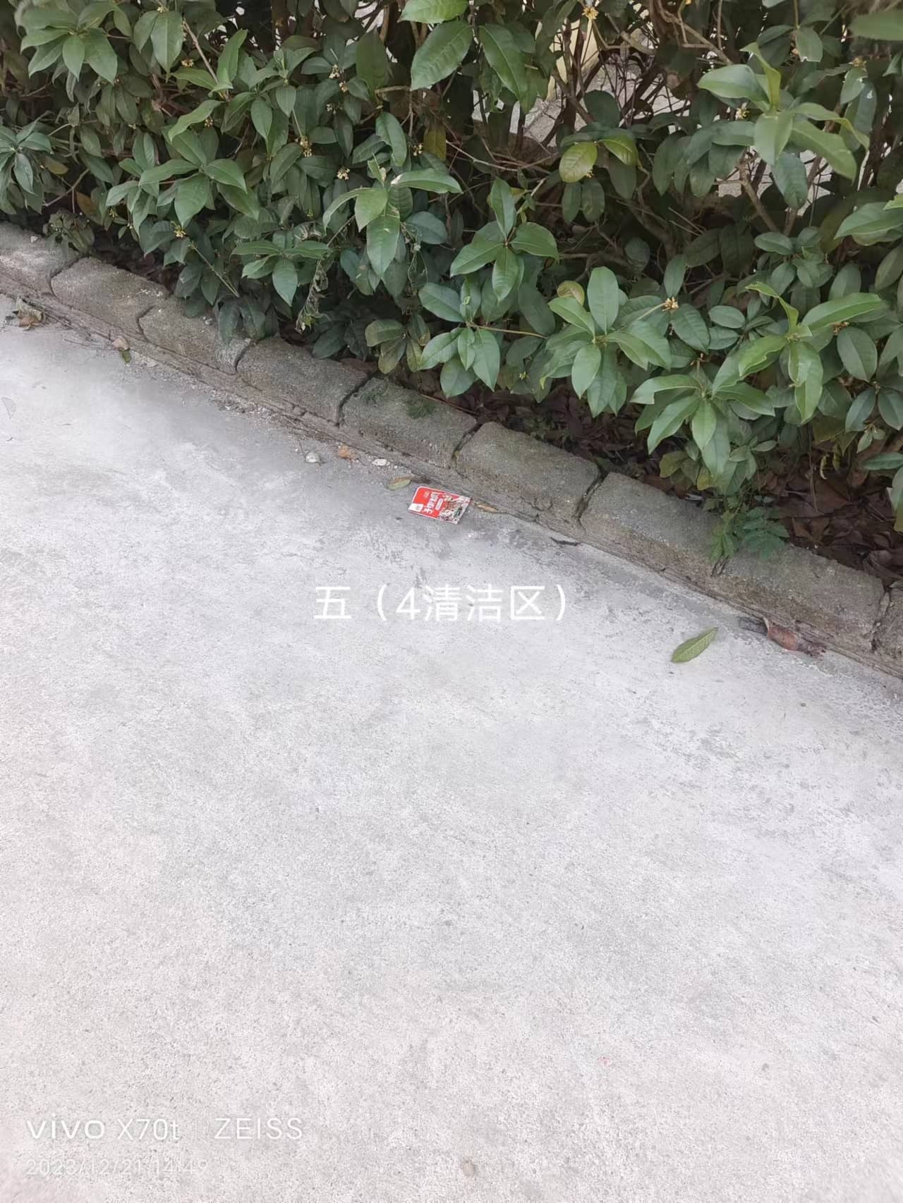 今日板小2023.12.21(图8)