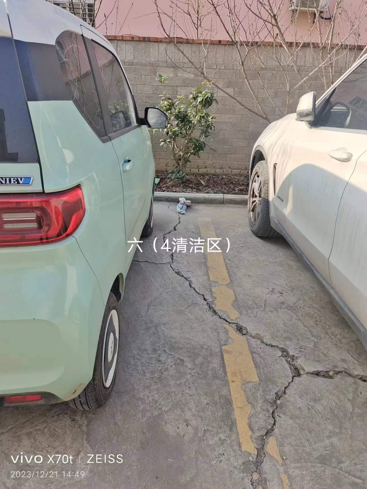 今日板小2023.12.21(图6)