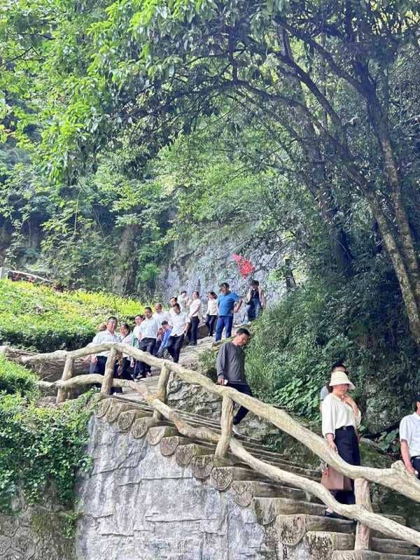 探寻奋斗足迹 筑牢党性堡垒(图13)