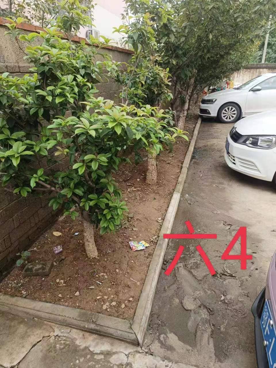 今日板小2023.9.26(图5)