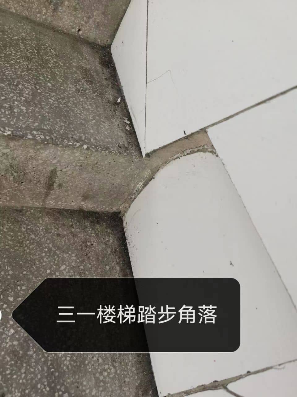 今日板小2023.10.17(图4)