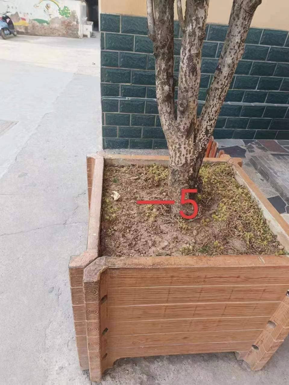 今日板小2024.3.5(图4)