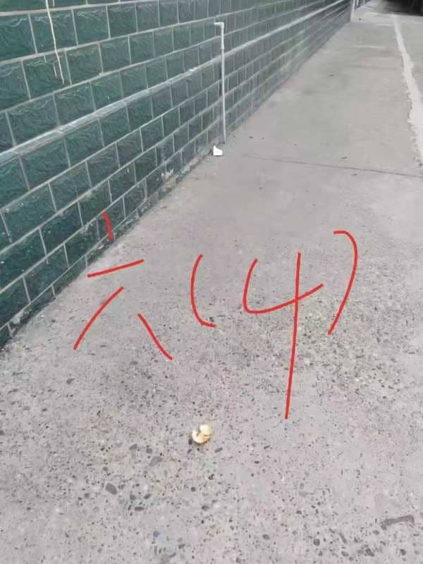 今日板小2024.4.16(图10)