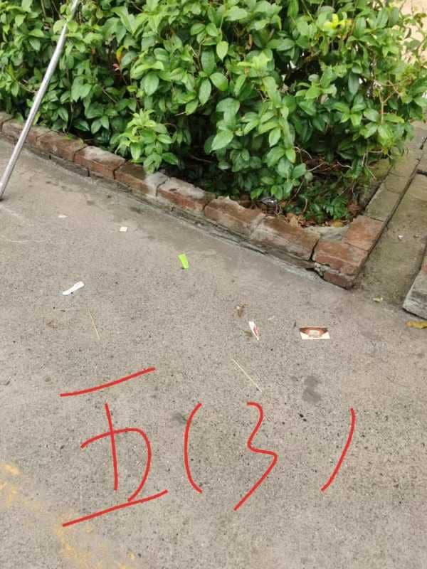 今日板小.6.4(图4)