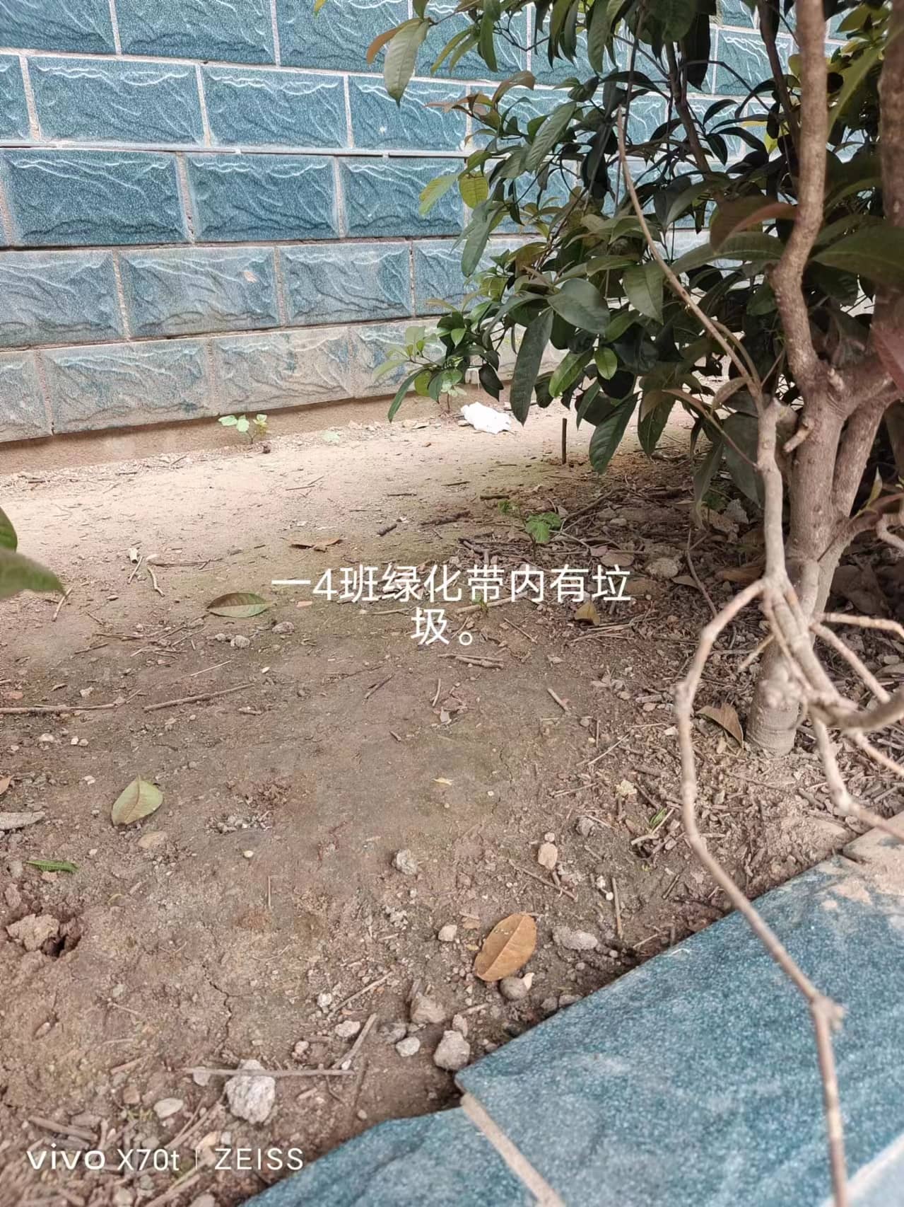 今日板小2024.4.12(图5)
