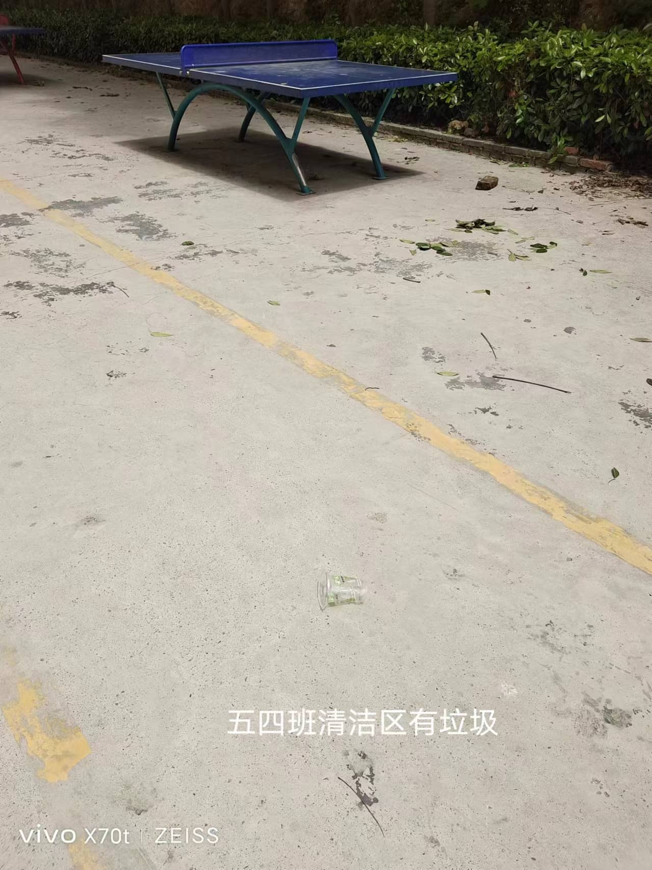 2024.5.9今日板小(图9)