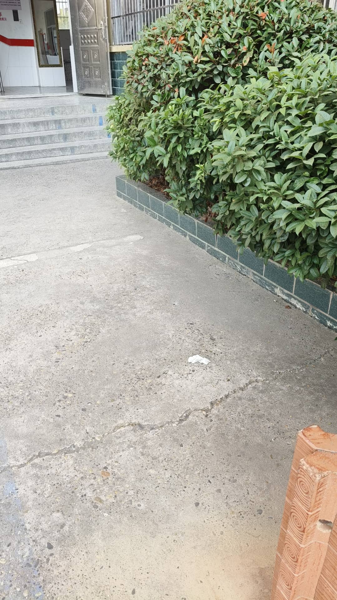 2024.5.16今日板小(图7)