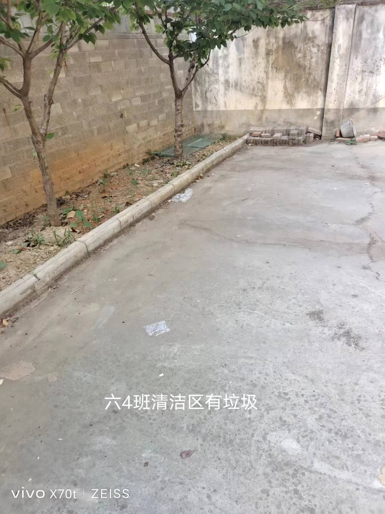 2024.5.16今日板小(图10)