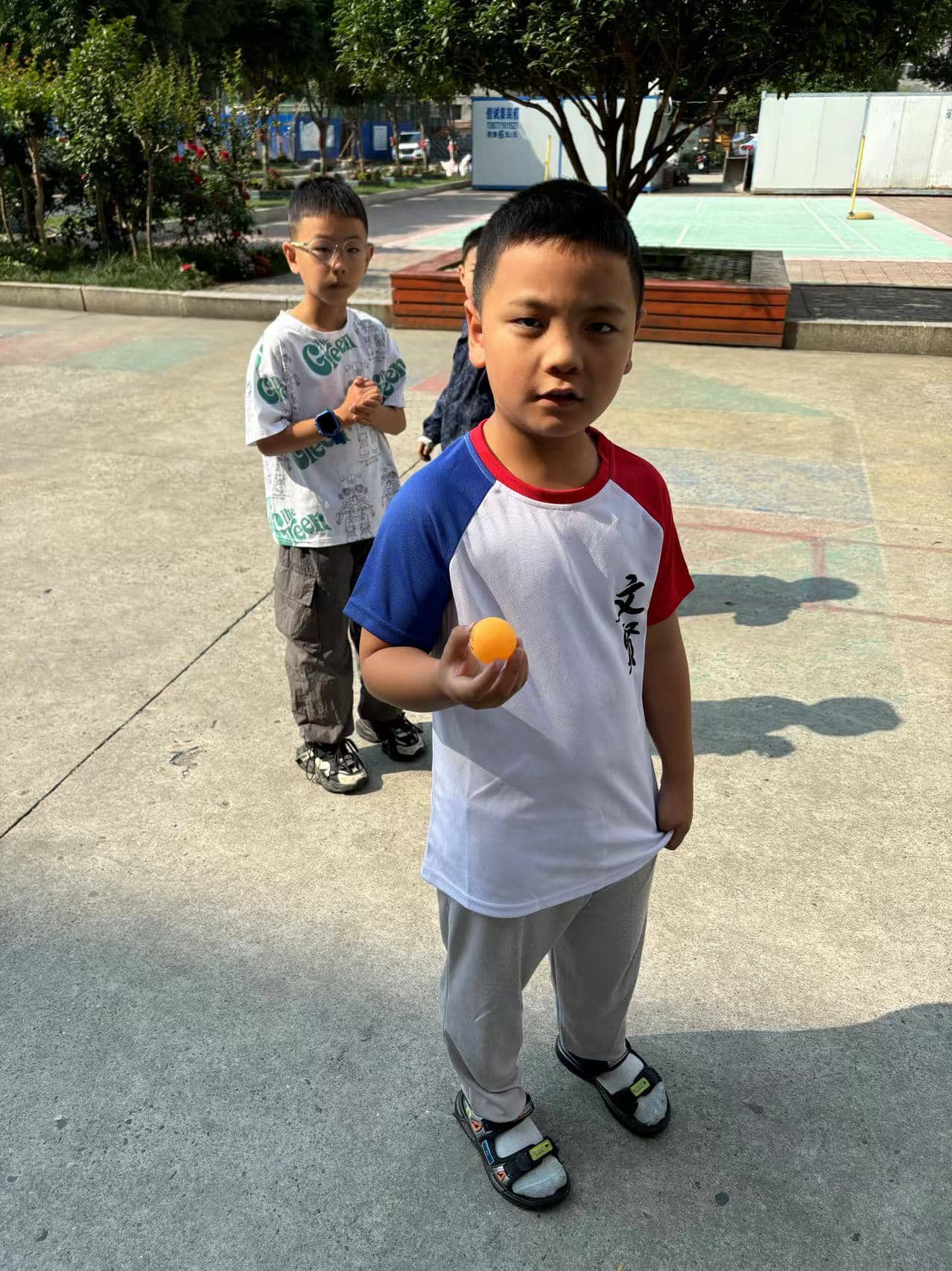 今日板小2024.6.6(图8)