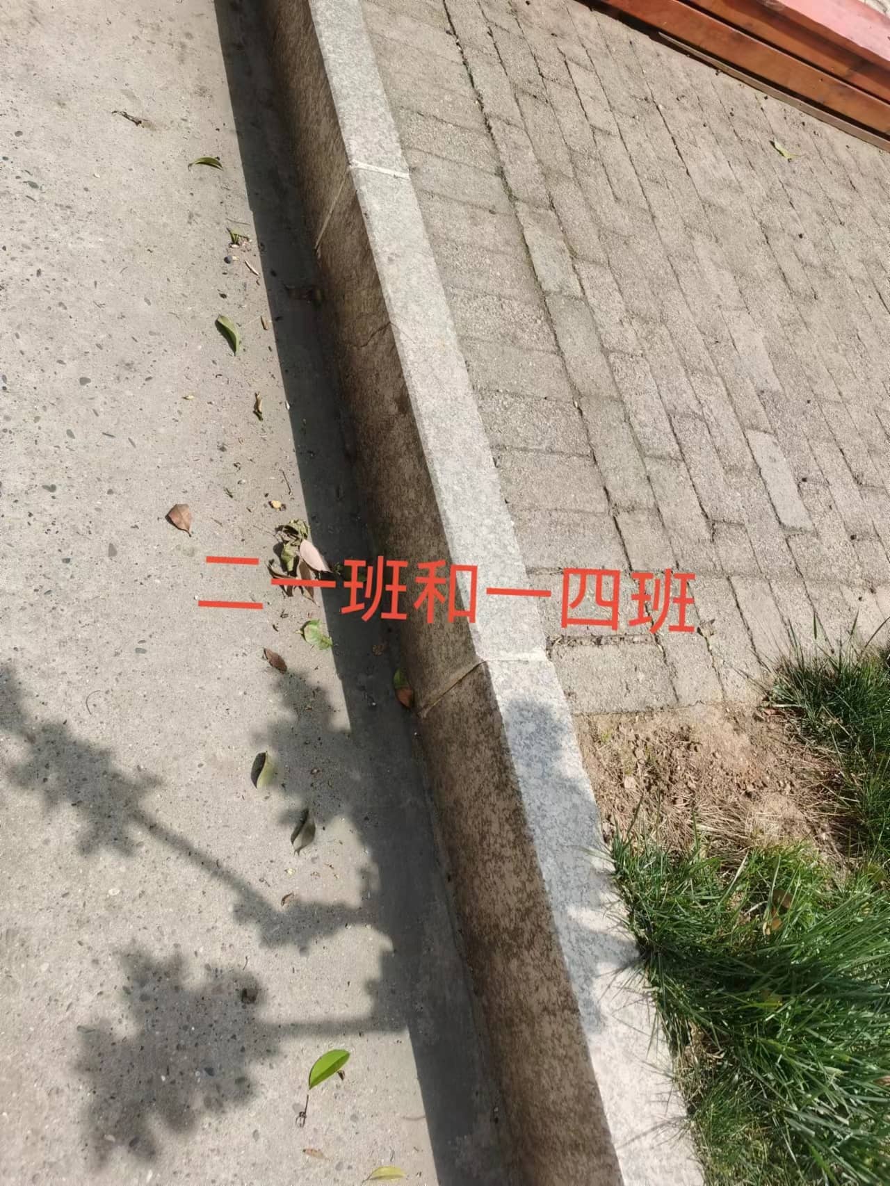 今日板小2023.4.17(图12)