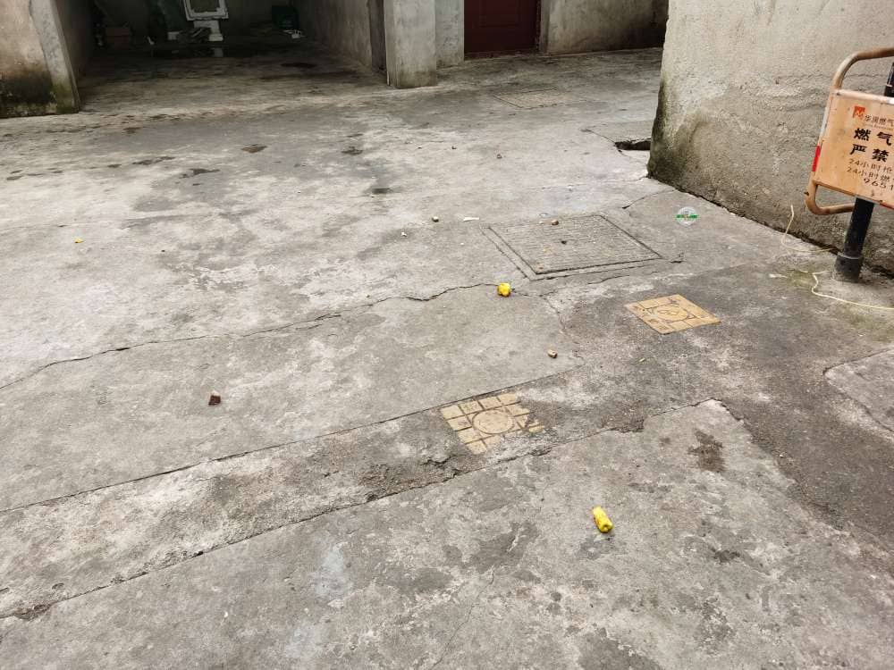 今日板小2023.5.29(图6)