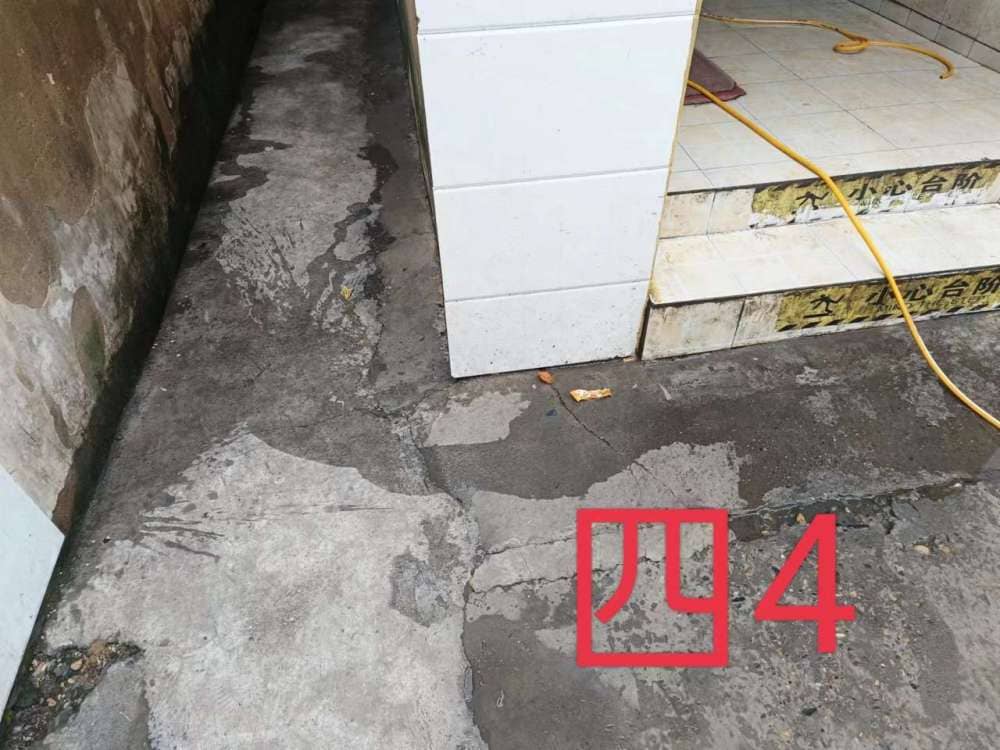 今日板小2023.5.29(图7)