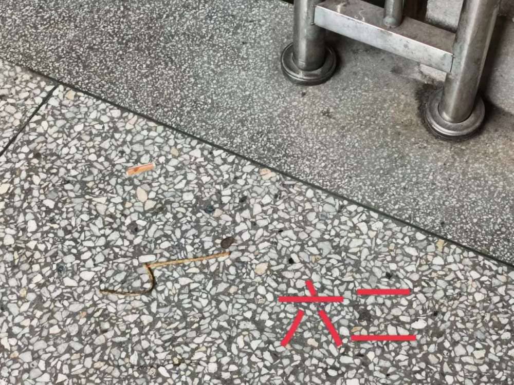 今日板小2023.5.29(图8)