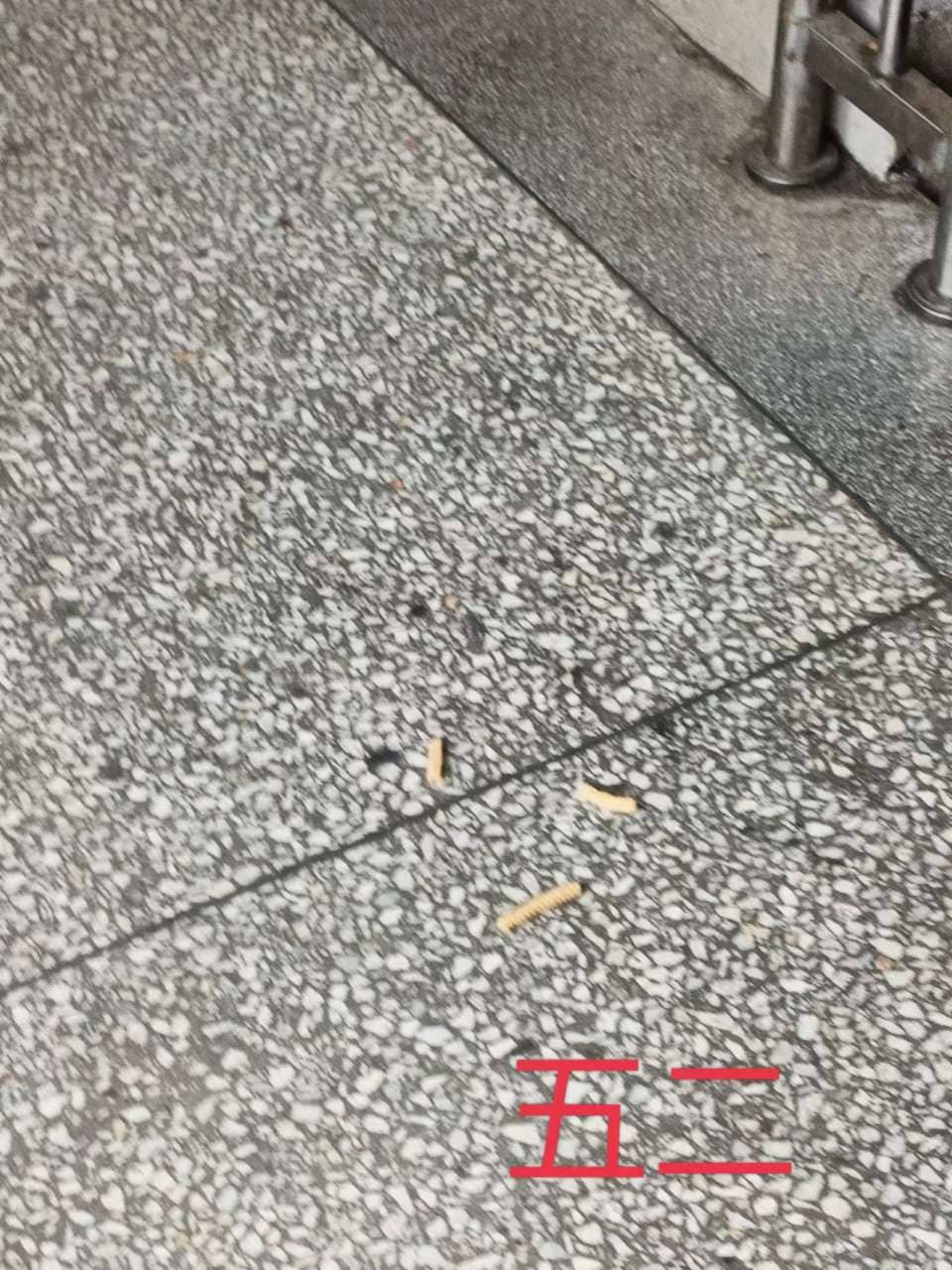今日板小2023.5.29(图9)