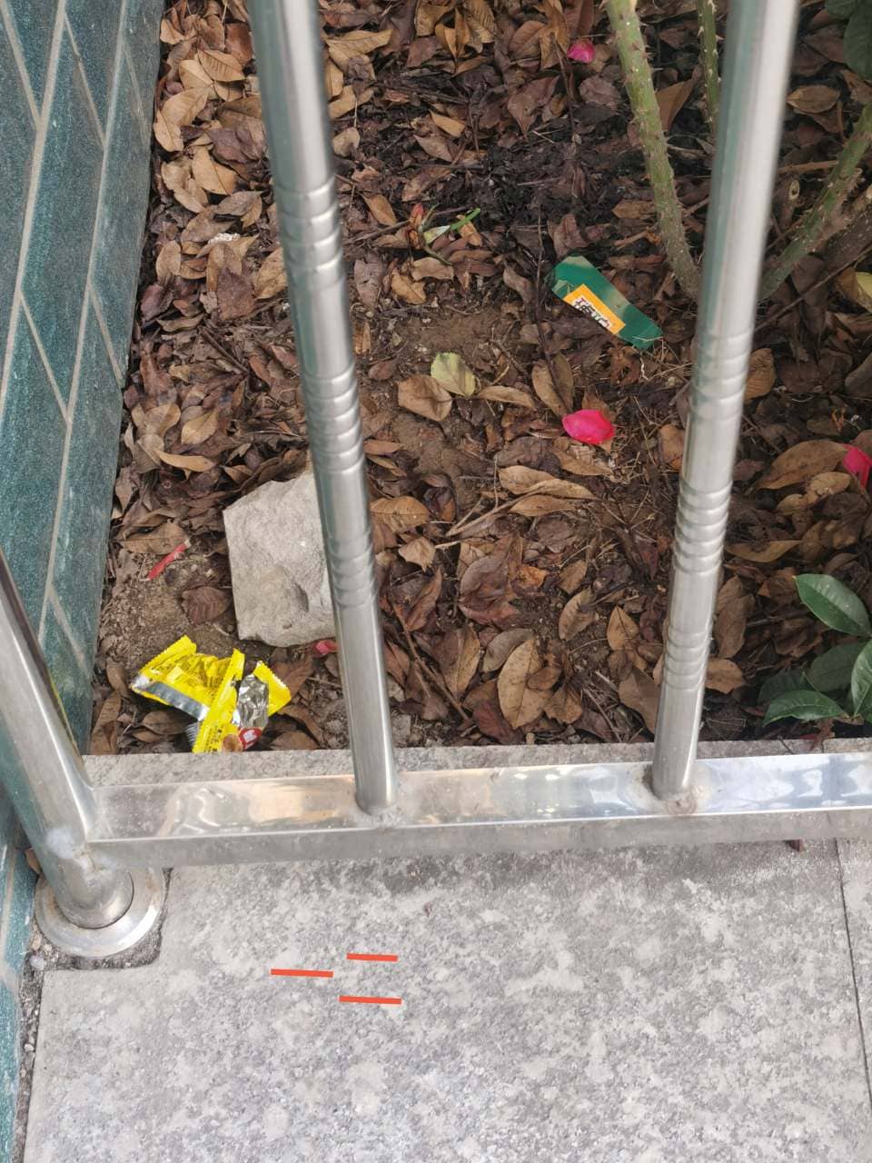 今日板小2023.6.19(图9)