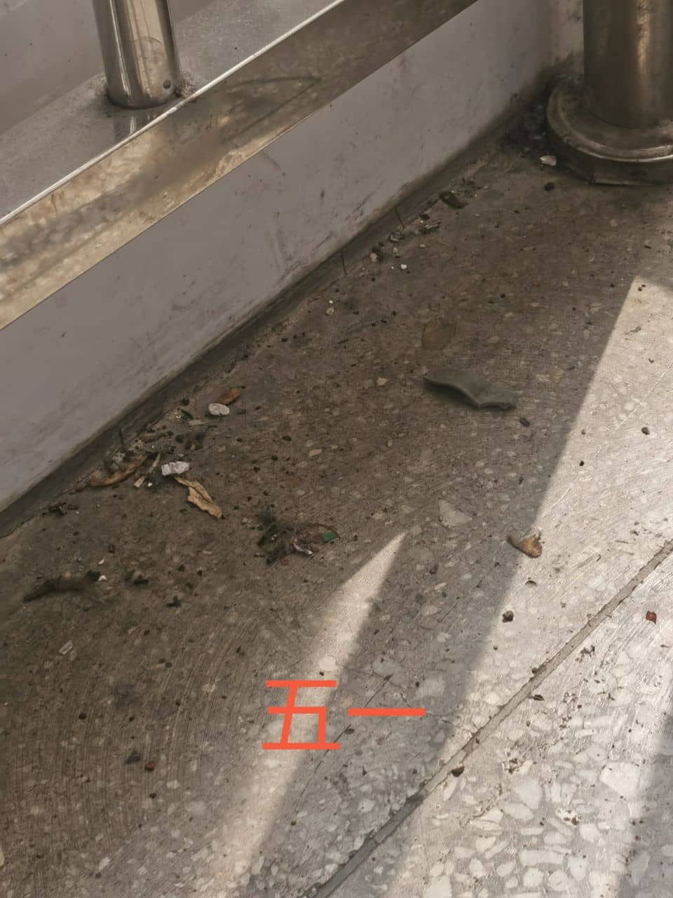 今日板小2023.6.19(图6)
