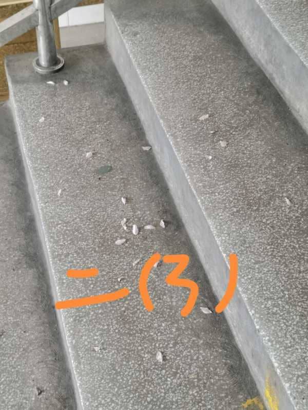 今日板小2024.4.10(图2)