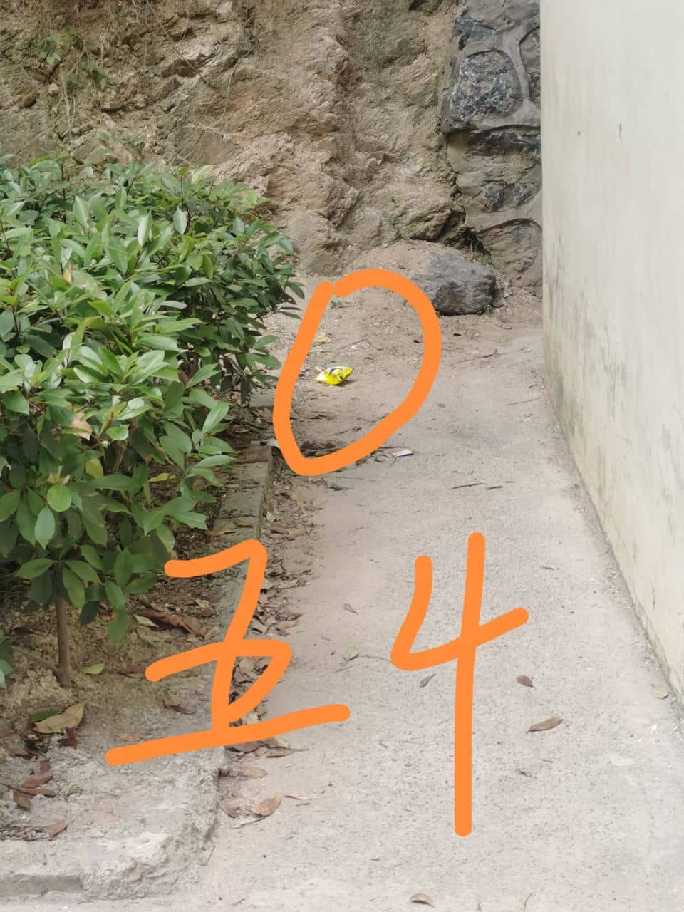 2024.5.15今日板小(图6)