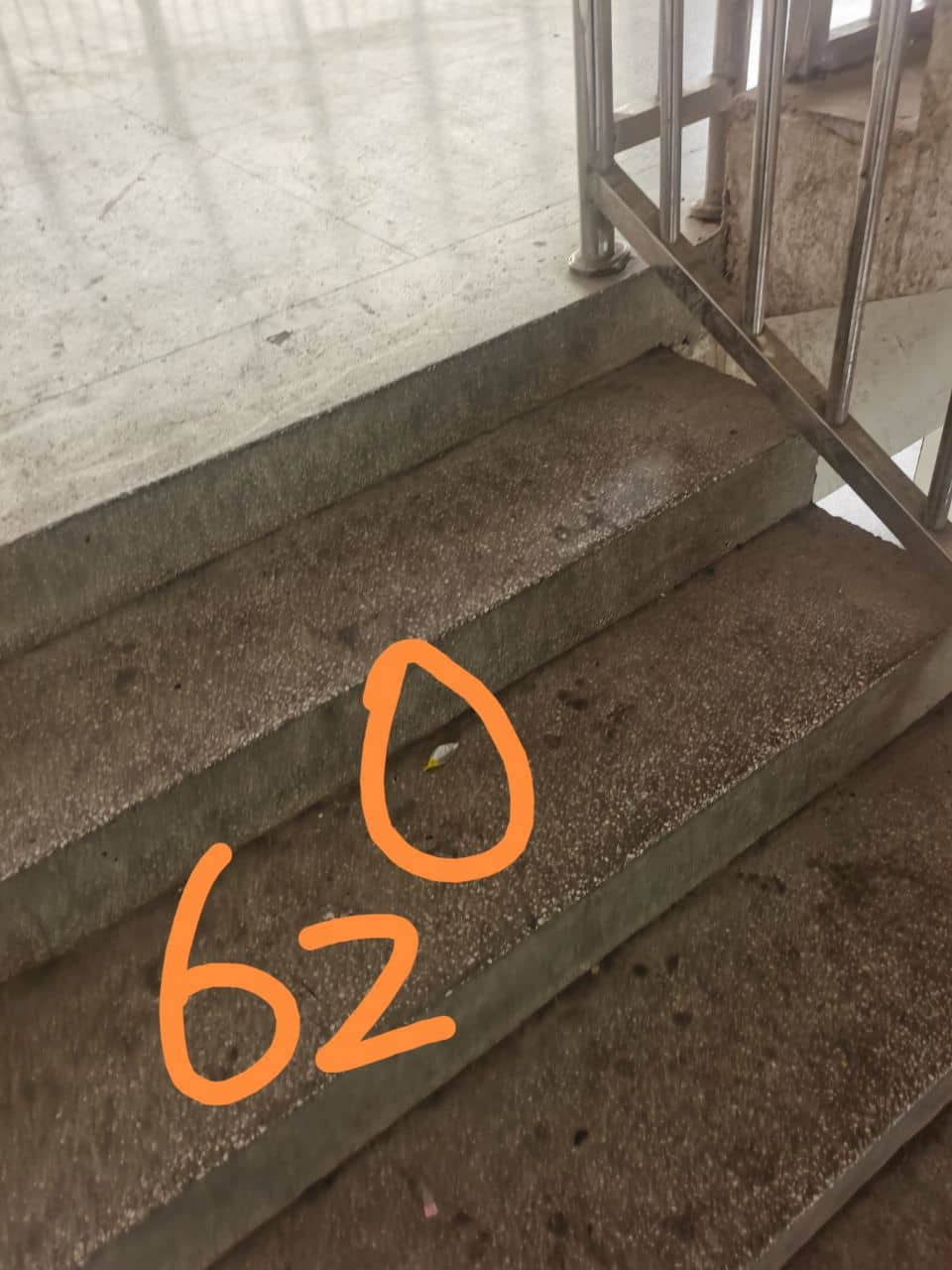 2024.6.19今日板小(图5)