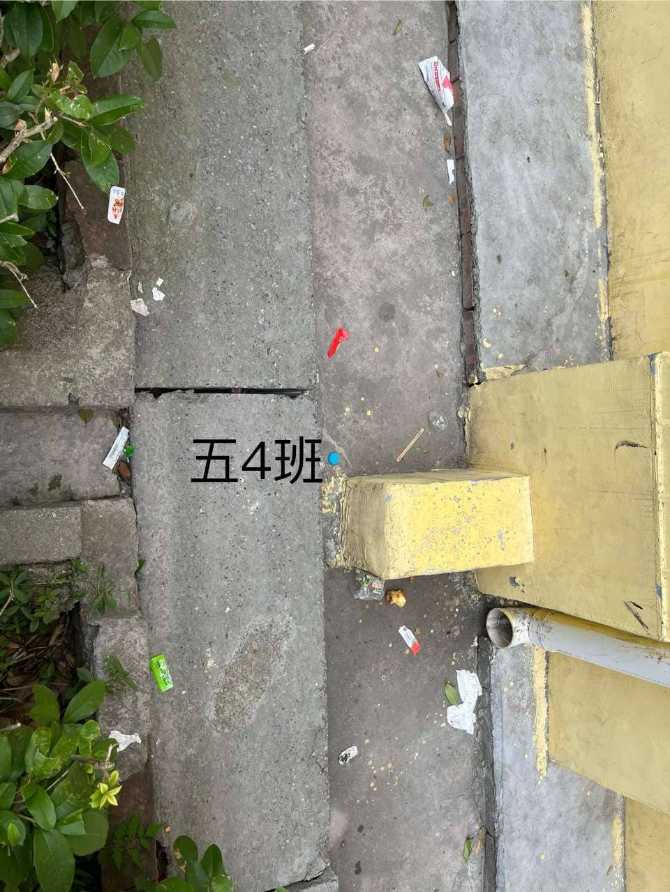 2024.6.19今日板小(图9)