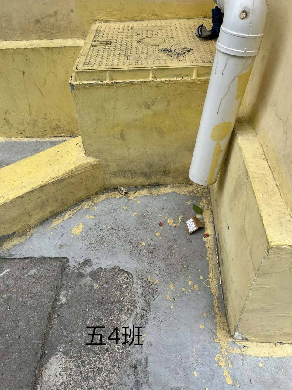 2024.6.19今日板小(图10)