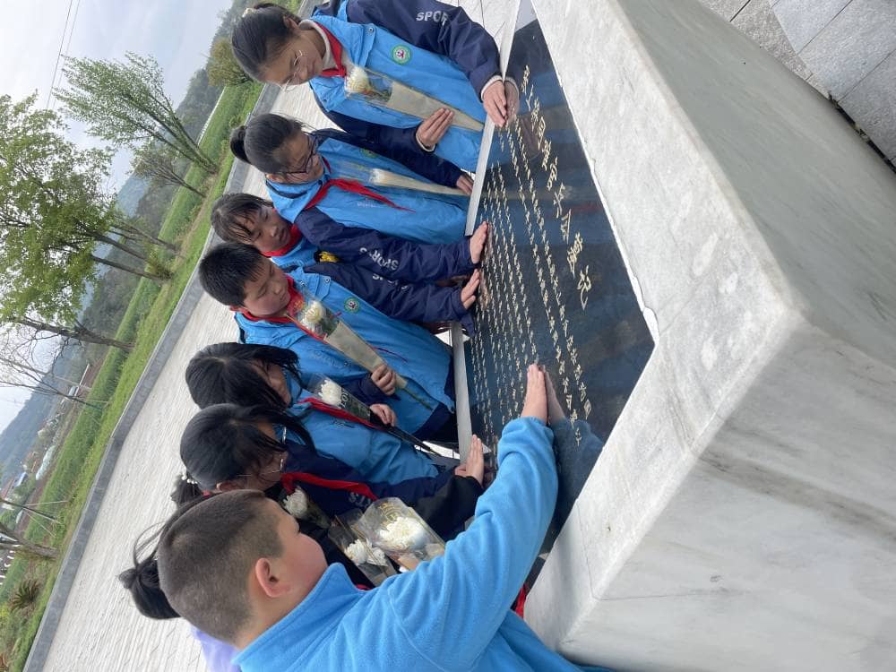 继承革命遗志 传承红色基因—板桥小学开展清明祭英烈主题队日活动(图12)