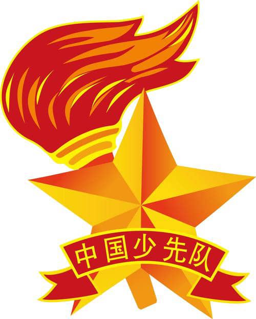 红色基因代代传——中国少年先锋队板桥小学2024年代表会活动总结(图8)