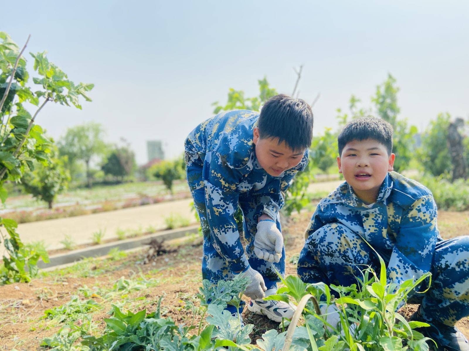 快乐于行  研学于心(图13)
