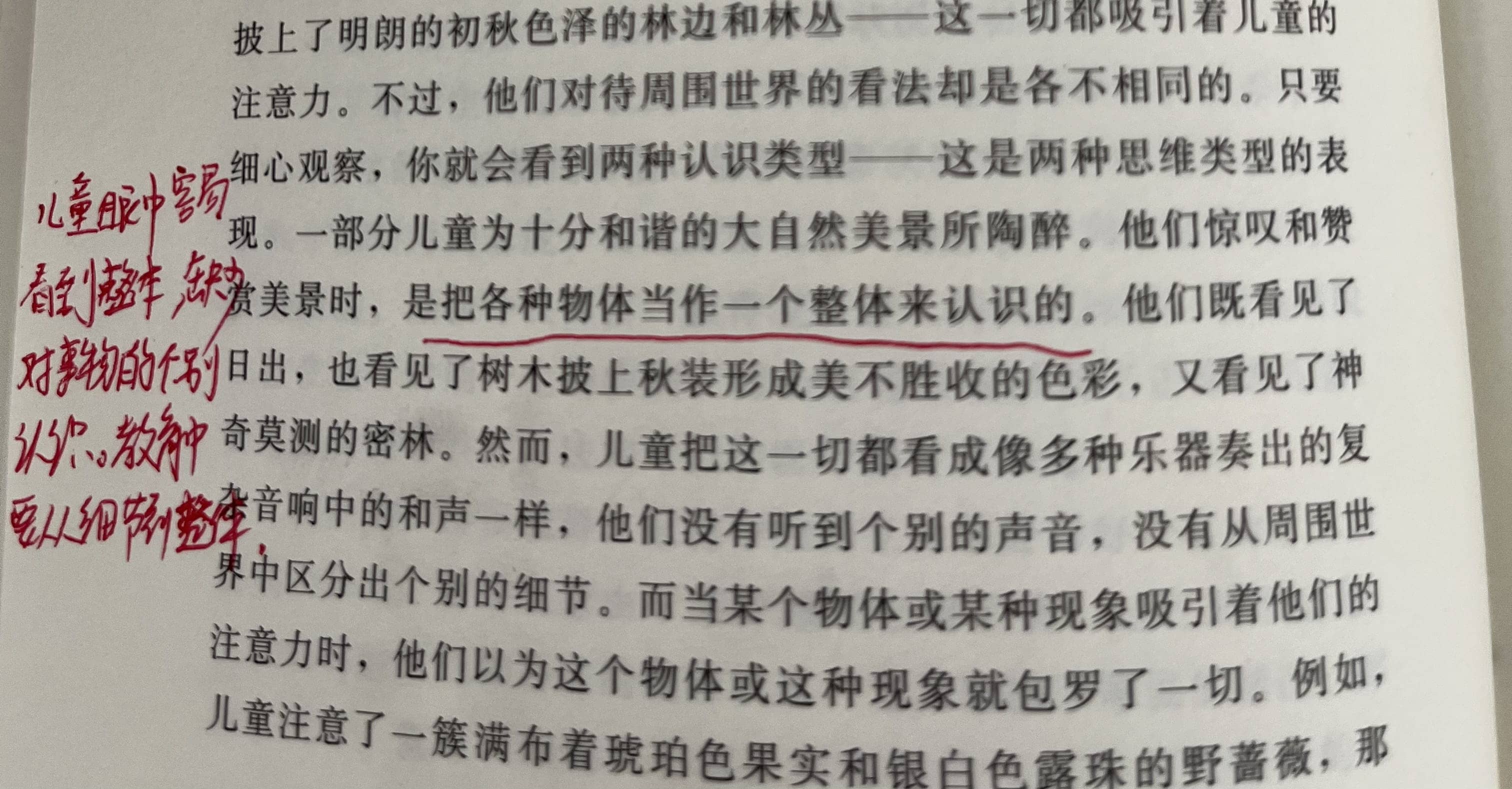 读《怎样研究学前儿童的思维》有感(图1)