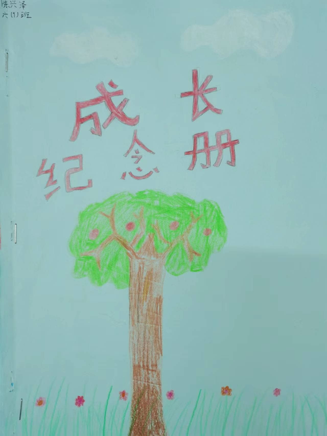 综合性学习：难忘小学生活         ——“感恩母校，难忘师生”活动成果展示(图12)
