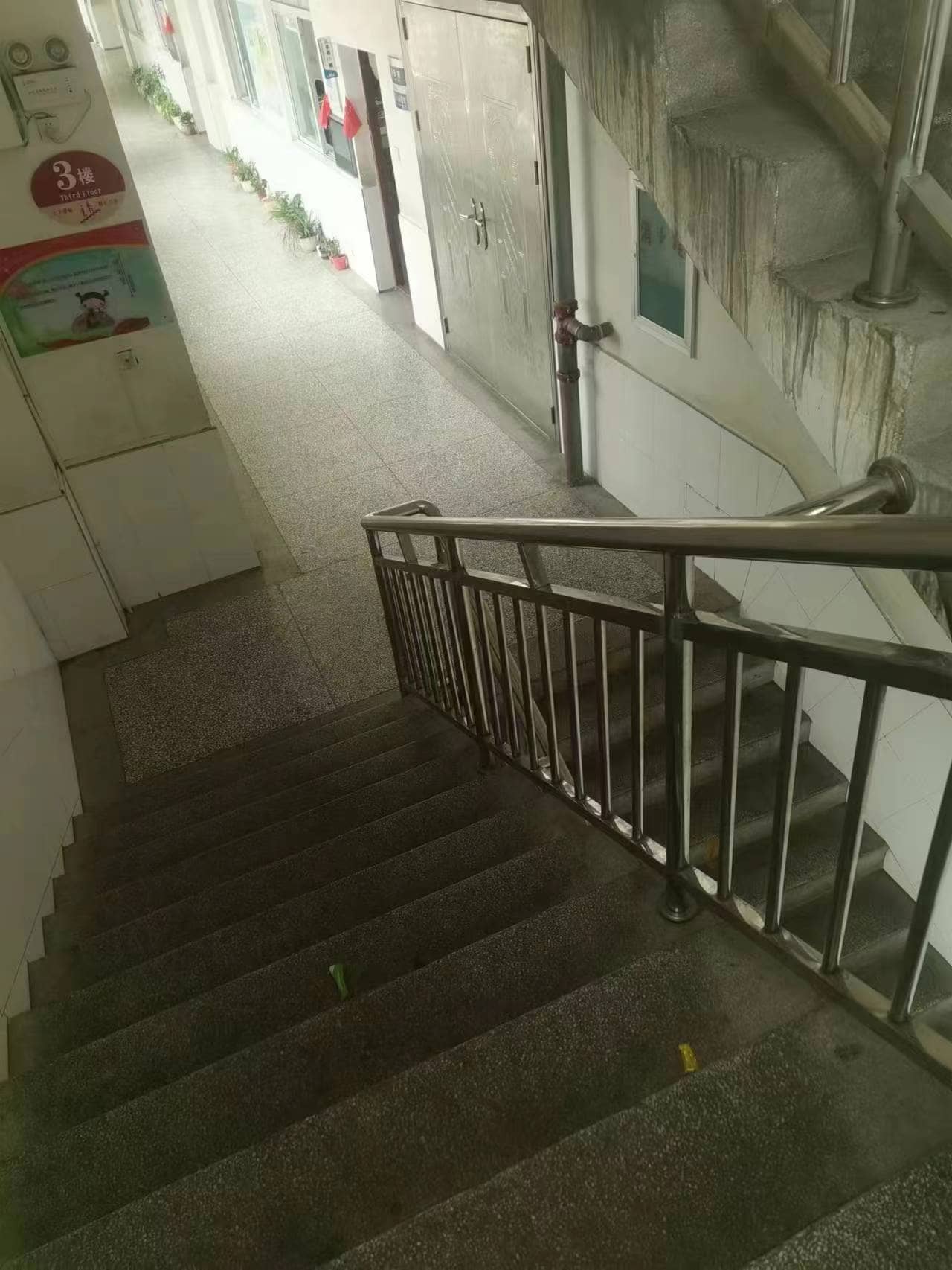 今日板小2023.3.21(图5)
