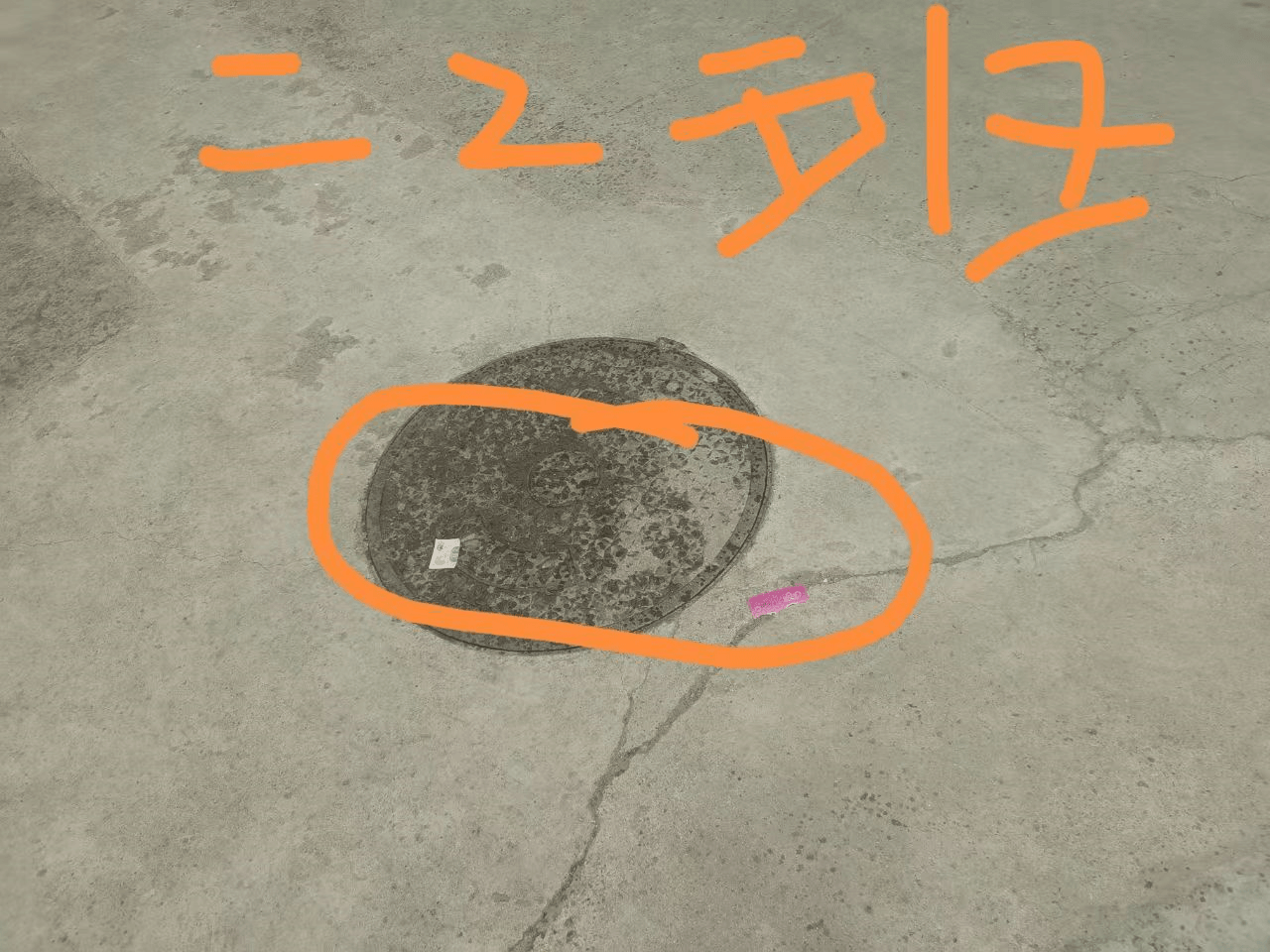 今日板小2023.5.9(图4)