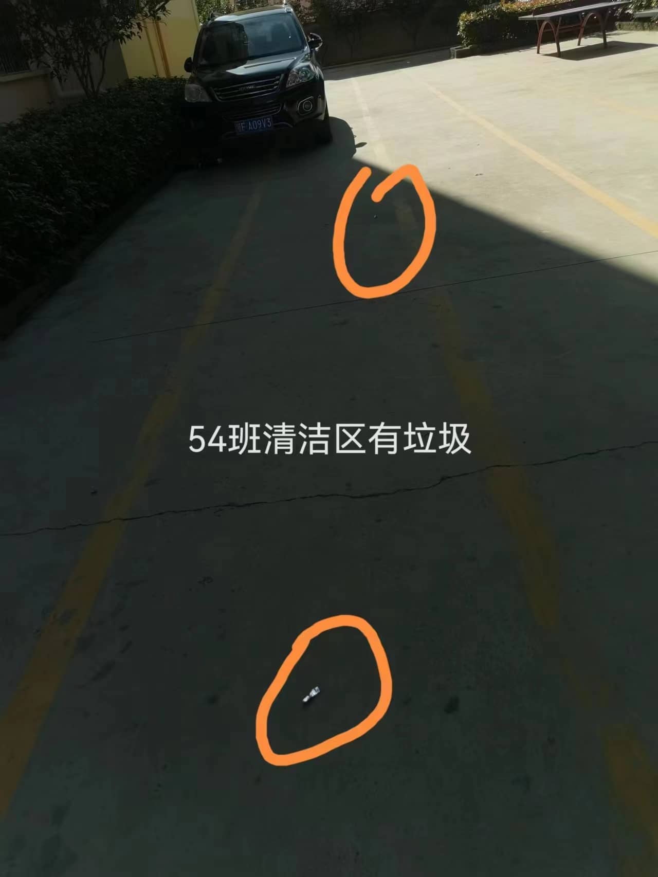 今日板小2023.6.6(图5)