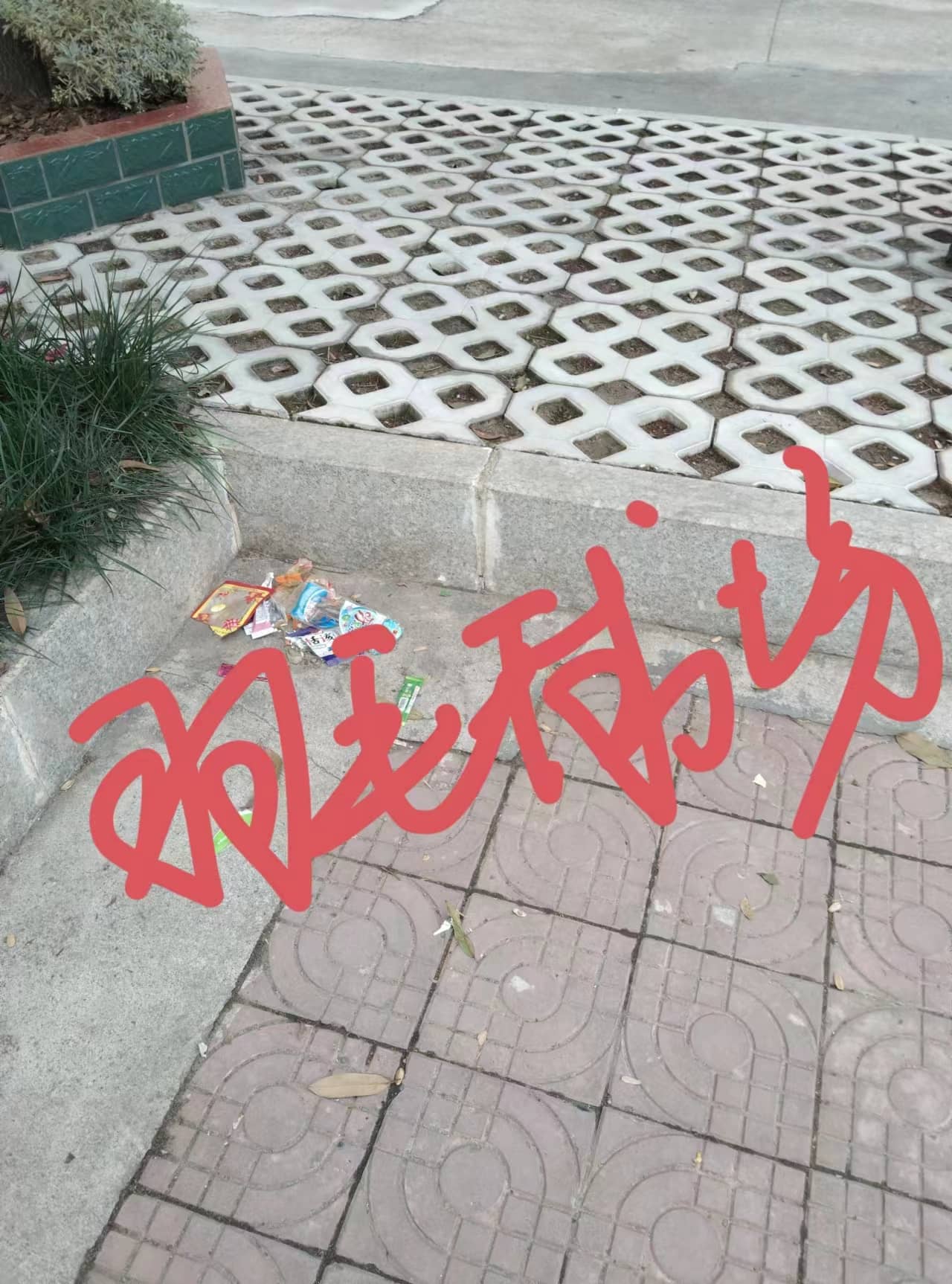 今日板小2023.11.10(图6)